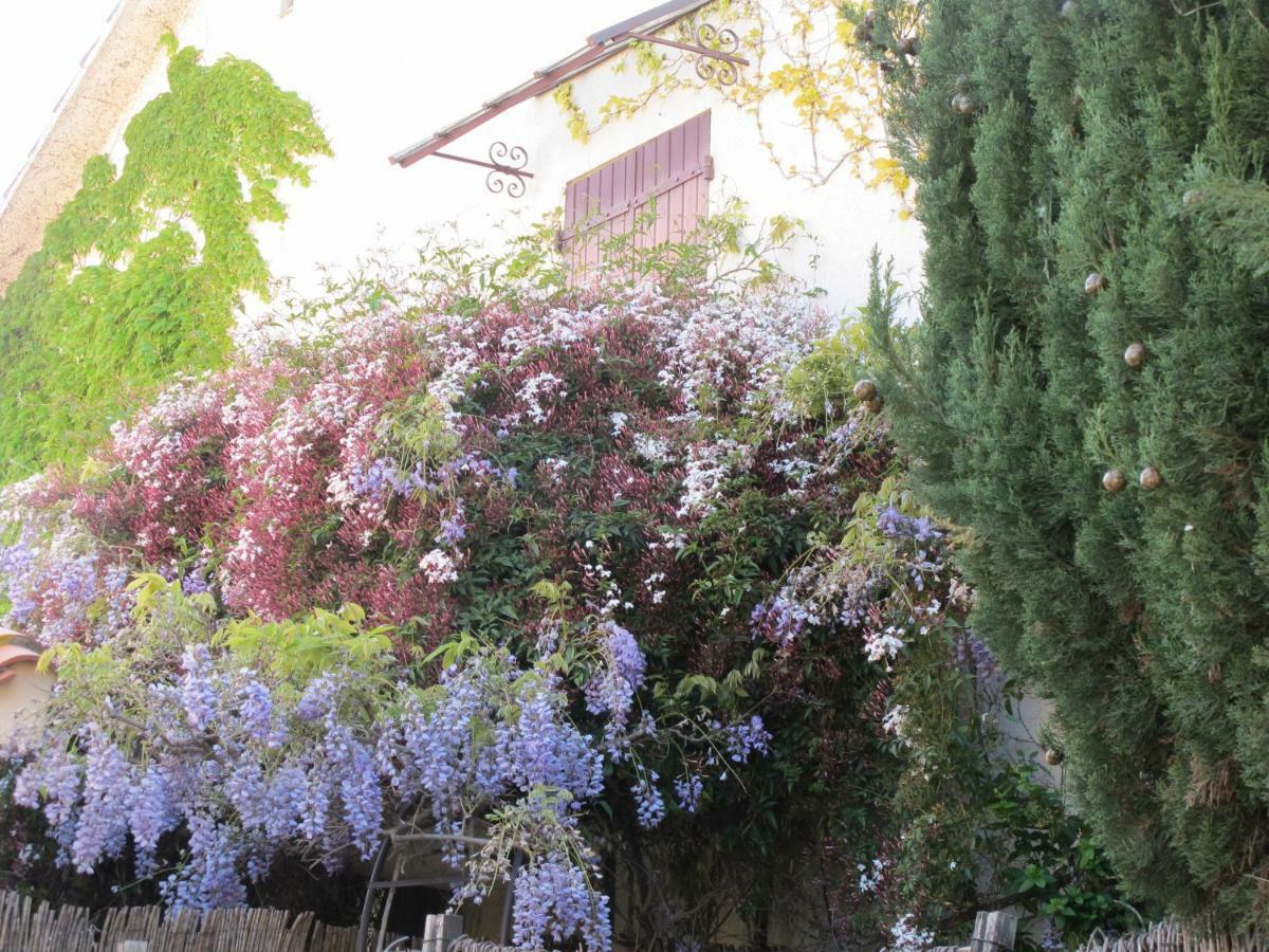 Casa-Tena-Sorède Esterno foto