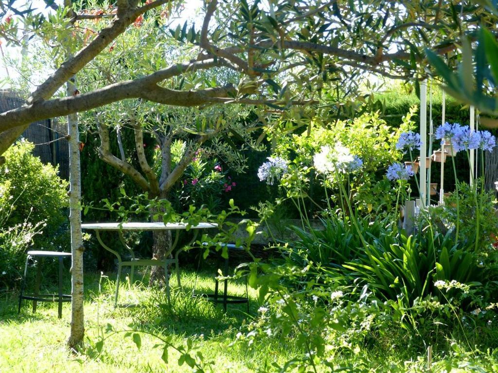 Casa-Tena-Sorède Camera foto